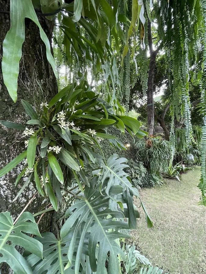 Iguanazu Bed & Breakfast 과야킬
